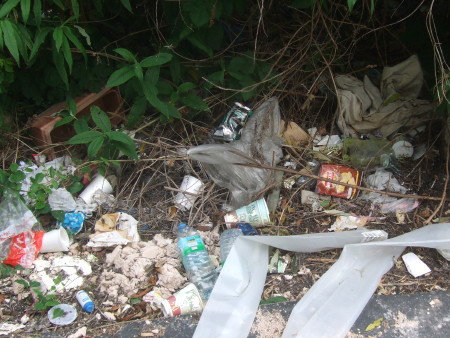 Jam Factory residents clean up derelict land in Alice Street