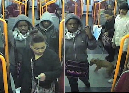 Police want to speak to these youths
