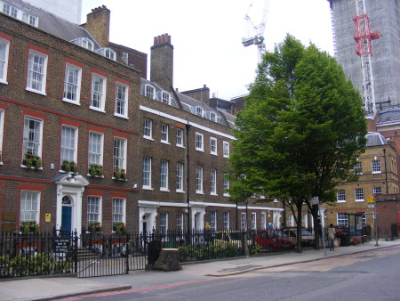 'Dangerous' St Thomas Street trees cut down by TfL