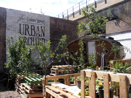 Union Street Urban Orchard