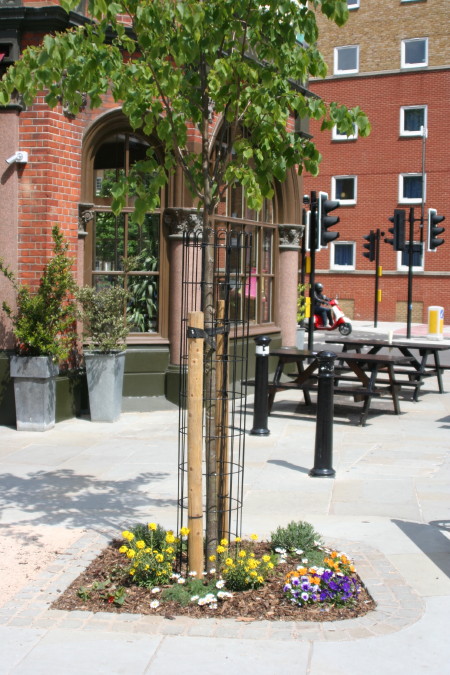 Trinity Street piazza wins Green Corners Award