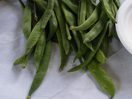 Edible Bankside Walk gathers crops for locally grown lunch