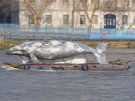 'Whale' on the Thames to highlight plight of endangered species