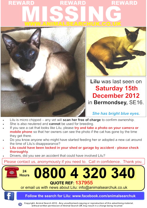 Pet detectives scour Bermondsey for Dawn Porter & Chris O'Dowd’s cat