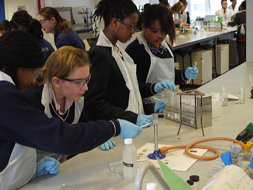 Southwark schoolgirls take part in chemistry challenge at LSBU