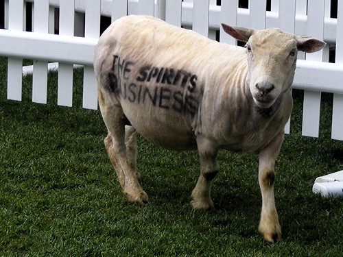 Flying sheep at London Bridge and a peat bog in Potters Fields