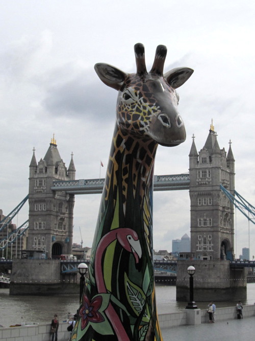 Giraffes take up residence at More London