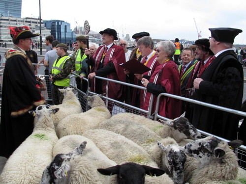 City freemen drive sheep across London Bridge