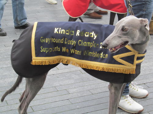 Greyhounds at City Hall as Boris is urged to save Wimbledon track