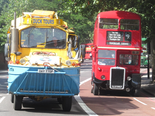 Dozens of vintage buses take part in cavalcade
