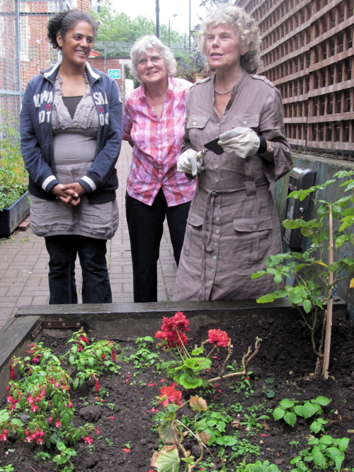 Rose planted to celebrate Waterloo Action Centre’s royal award