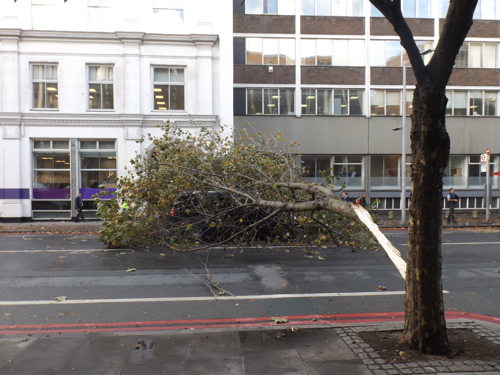 Lucky escape as falling tree hits minicab in Southwark Street