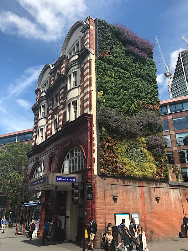 Green wall for Lambeth North station as part of air quality plan