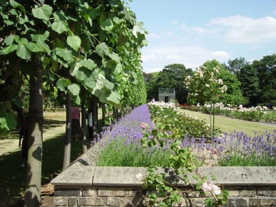 Open Garden Squares Weekend at Lambeth Palace