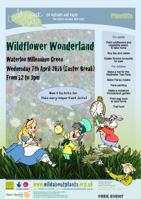 Wildflower Wonderland at Waterloo Millennium Green