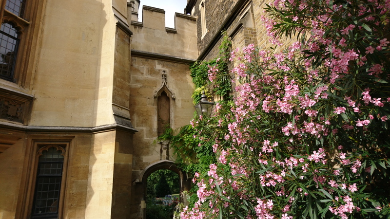 Lambeth Palace Garden Open Day at Lambeth Palace