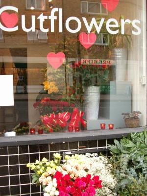 cutflowers