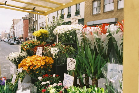 Lower Marsh market management to be outsourced