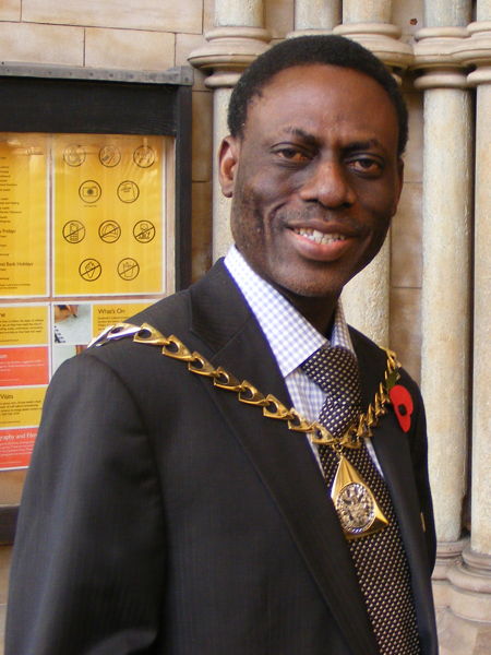 Cllr Tayo Situ