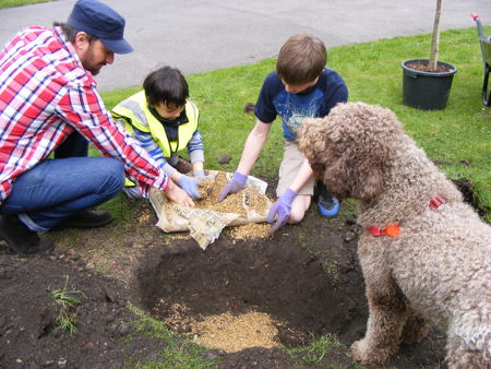 Rowan tree planted in Archbishop’s Park