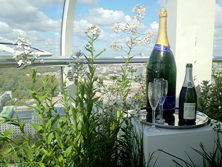 London Eye hosts pop-up garden to launch Cityscapes project