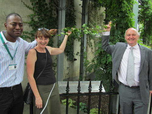 Devons Mansions Vertical Garden to be tended by Potters Fields staff