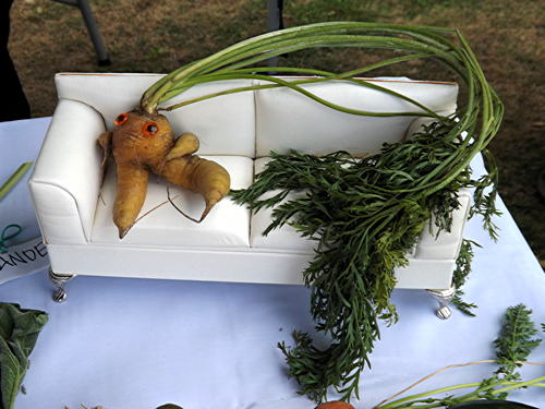 Octavia Hill Centenary Flower and Vegetable Show at Red Cross Garden