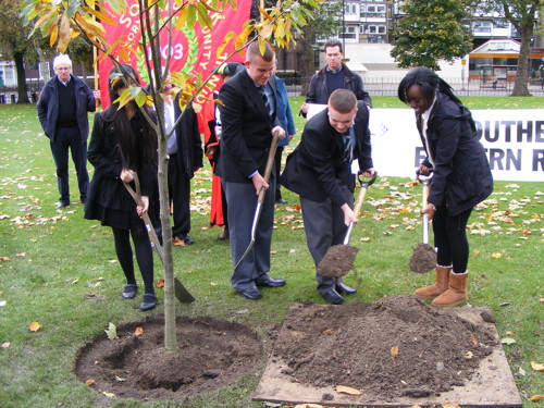 'Friendship tree' planted to promote Anglo-Irish understanding