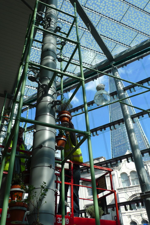 Borough Market turns new glazed hall into 'city garden'