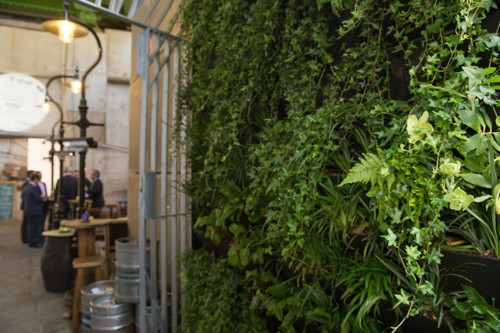 Green wall created next to Borough’s Wheatsheaf pub