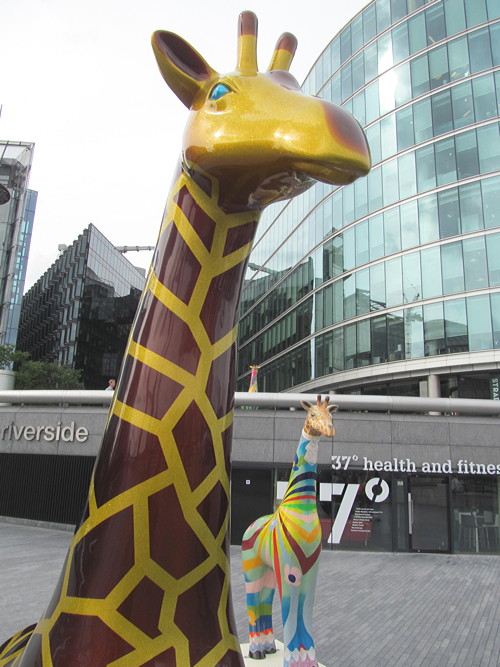 Giraffes take up residence at More London