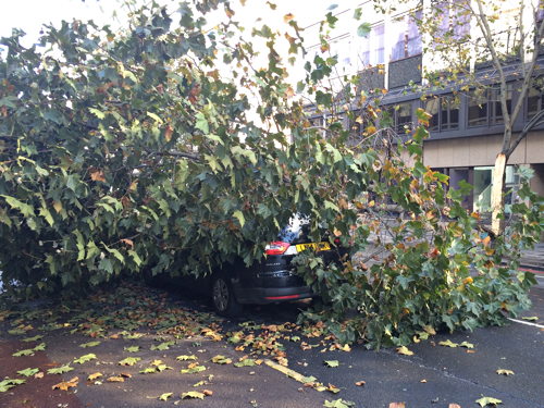 Lucky escape as falling tree hits minicab in Southwark Street