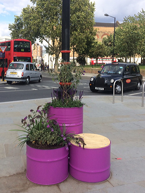 Hundreds of plants grown in recycled fruit juice drums