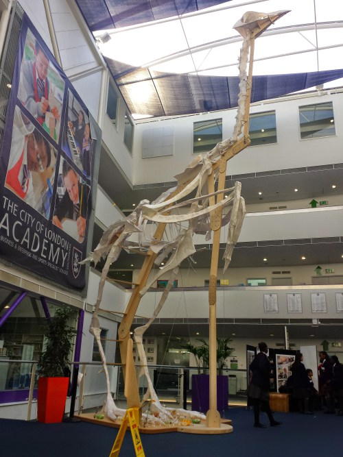 Giant chicken skeleton installed in Bermondsey school foyer