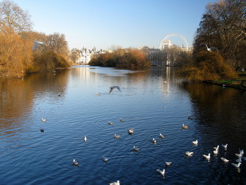 View from the bridge in St James's Park
