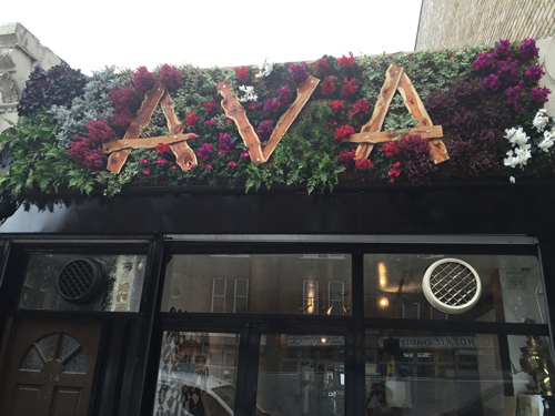 Ava Cafe