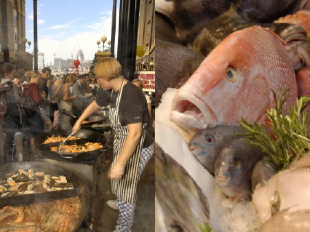 Oyster & Seafood Fair at Hay's Galleria
