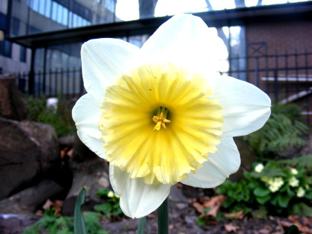 Opening of new Wildlife Garden at Christ Church Southwark