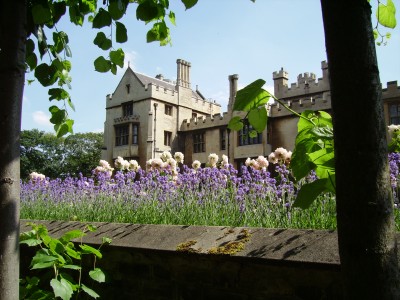 Open Garden Squares Weekend at Lambeth Palace