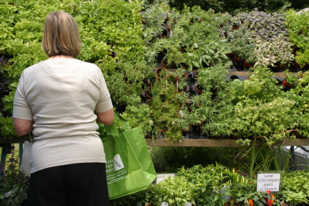 Spring Plant Fair at Bermondsey Square