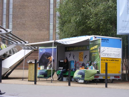 London peregrines at the Tate at Bankside riverside walkway