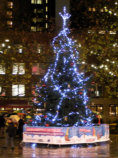 Tree Lights Switch-on at Emma Cons Gardens