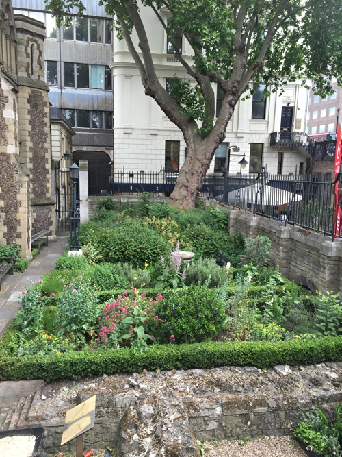 A Tour of Southwark Cathedral Herb Garden at Southwark Cathedral