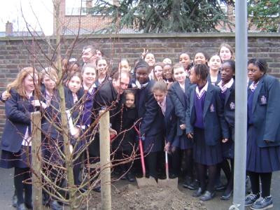 treeplanting