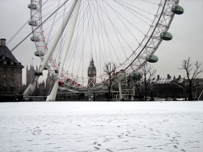 Jubilee Gardens and the London Eye