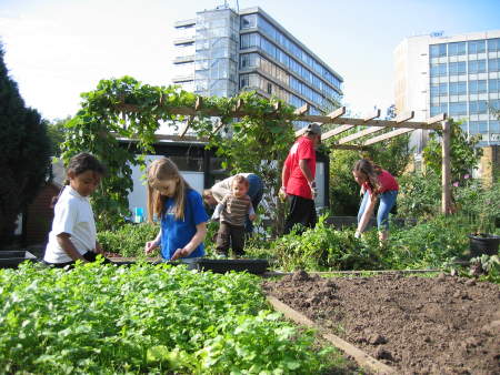 Diversity Garden