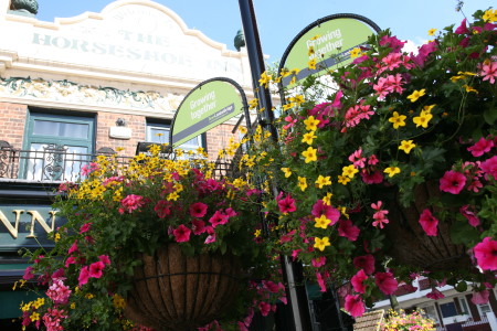 Hanging baskets in Melior Street