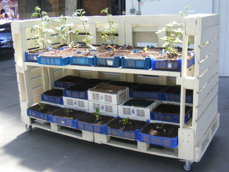 Nomadic Allotments at Borough Market