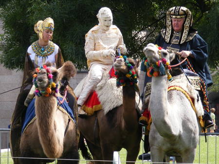 Camel racing in Potters Fields Park