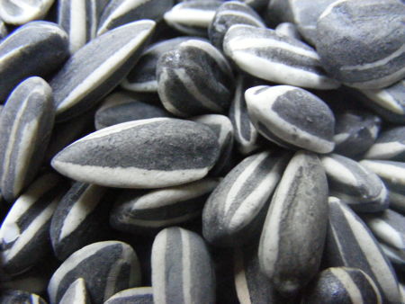 Ai Weiwei Sunflower Seeds